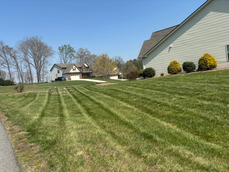 Weed Control