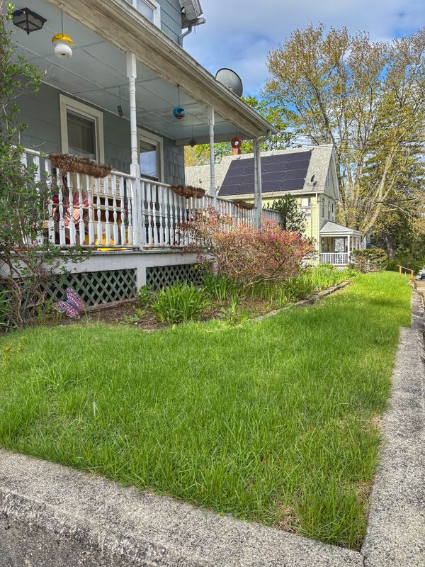 Lawn Maintenance