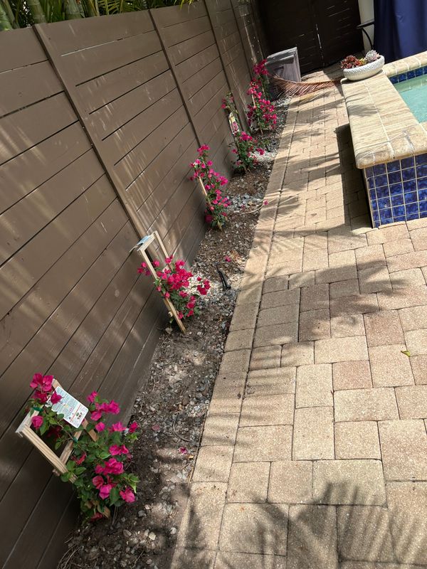 Landscape Design
