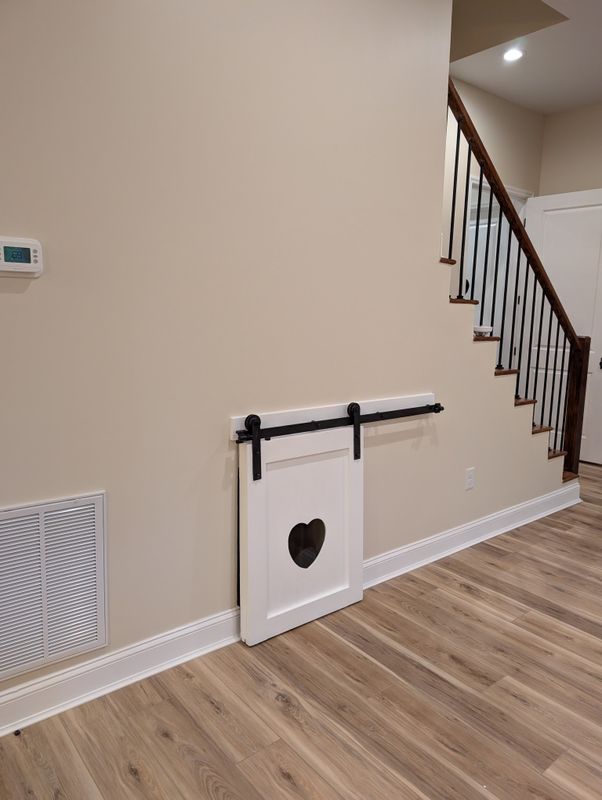 Basement Renovation
