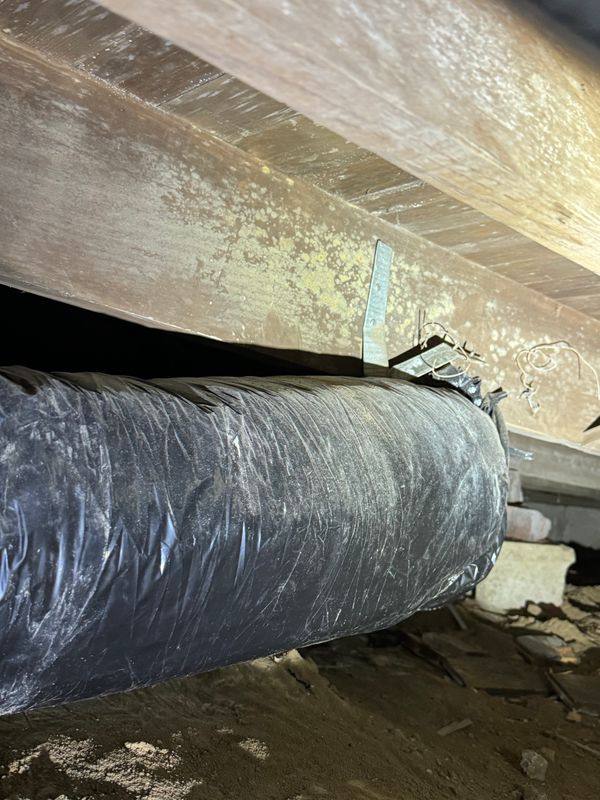 Crawlspace/Attic Renovation 