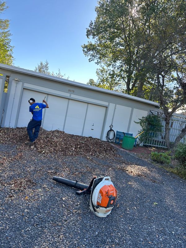 Leaf Removal