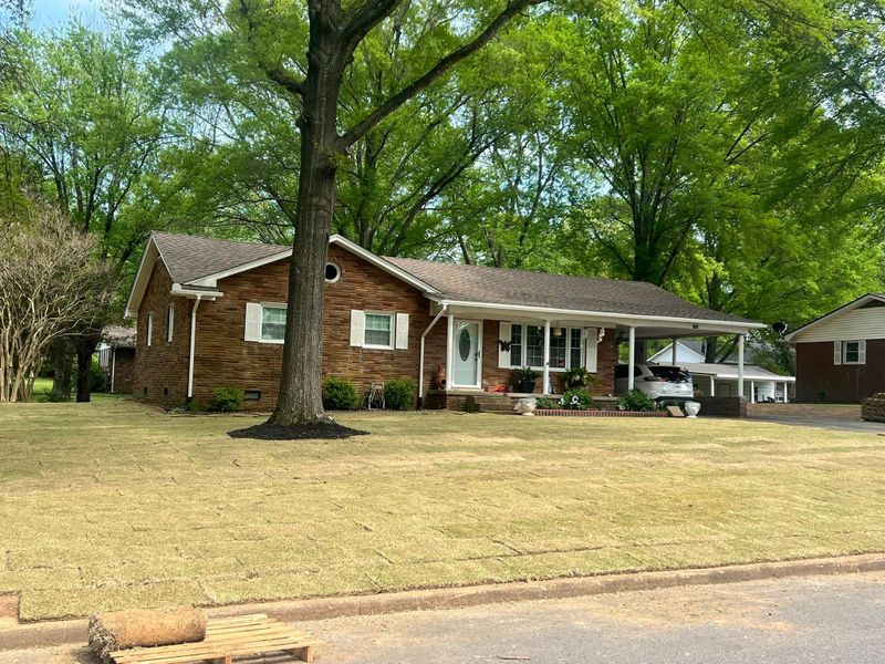 Lawn Care and Maintenance