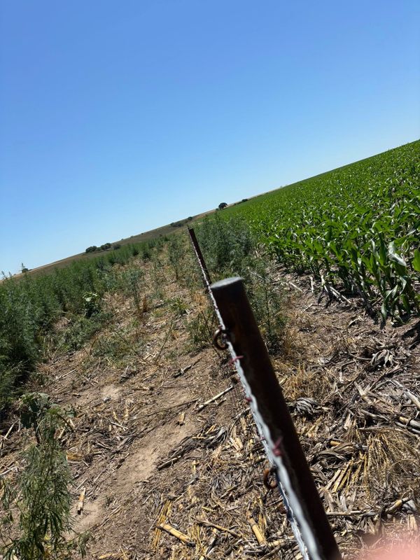 Fence Maintenance