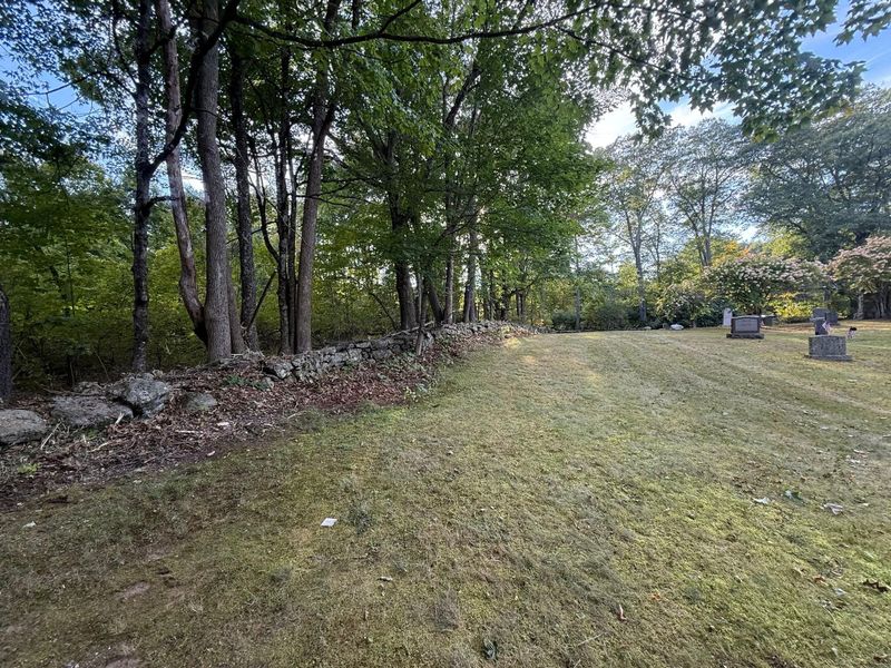 Hedge Trimming