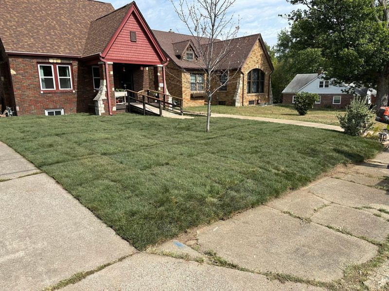 Landscaping