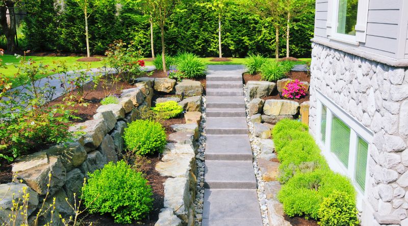 Lawn Maintenance