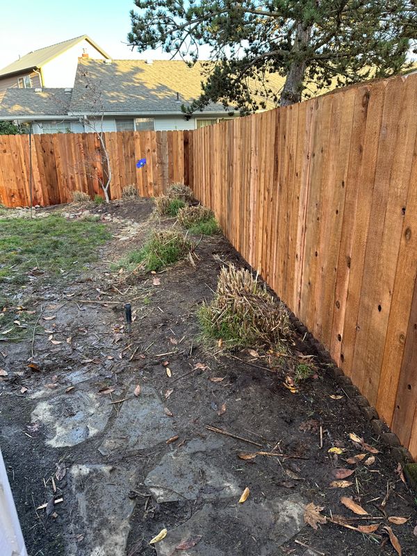 Fencing Repair & Installation