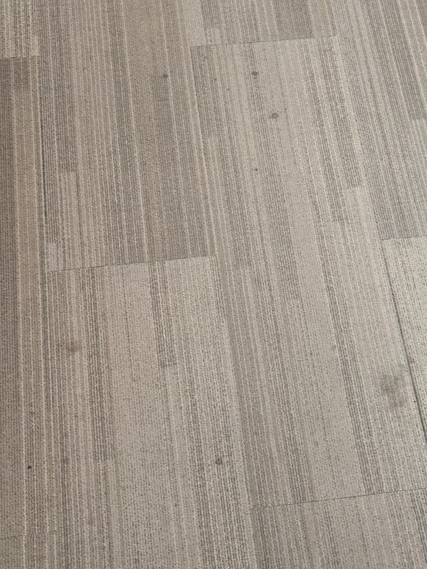 Carpet Cleaning