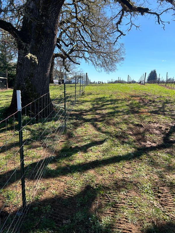 Fence Installation
