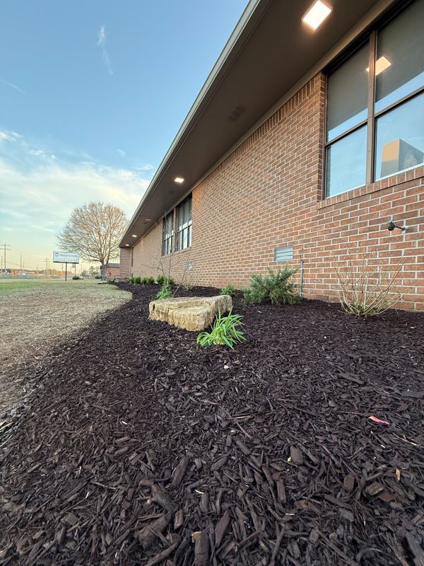 Landscape Design
