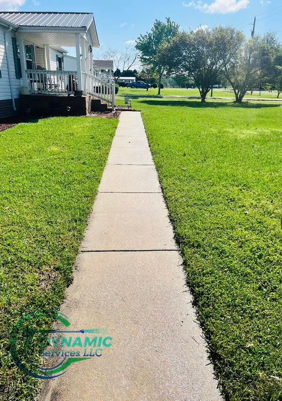 Driveway and Sidewalk Cleaning