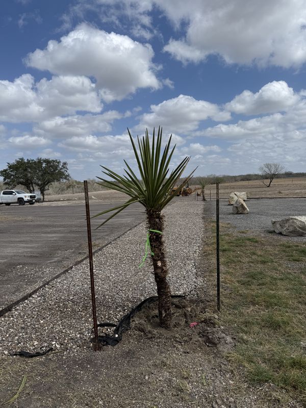 Road and Driveway Reconditioning