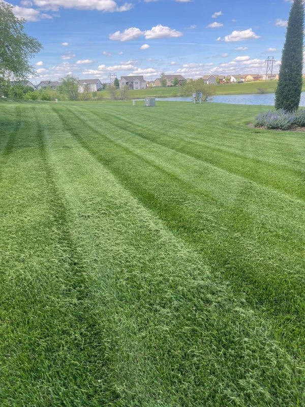 Lawn Maintenance