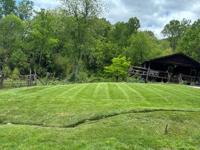 Lawn Maintenance