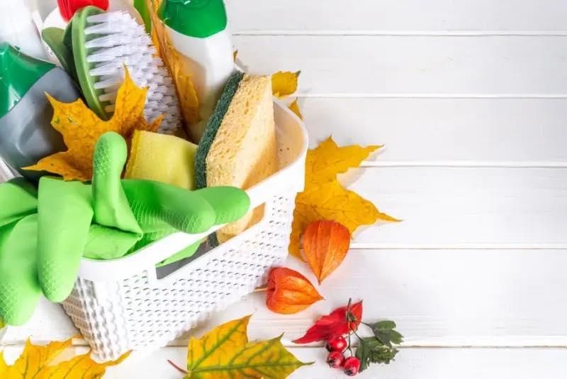 Cleaning Services