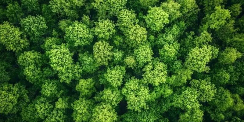 Drone Videography