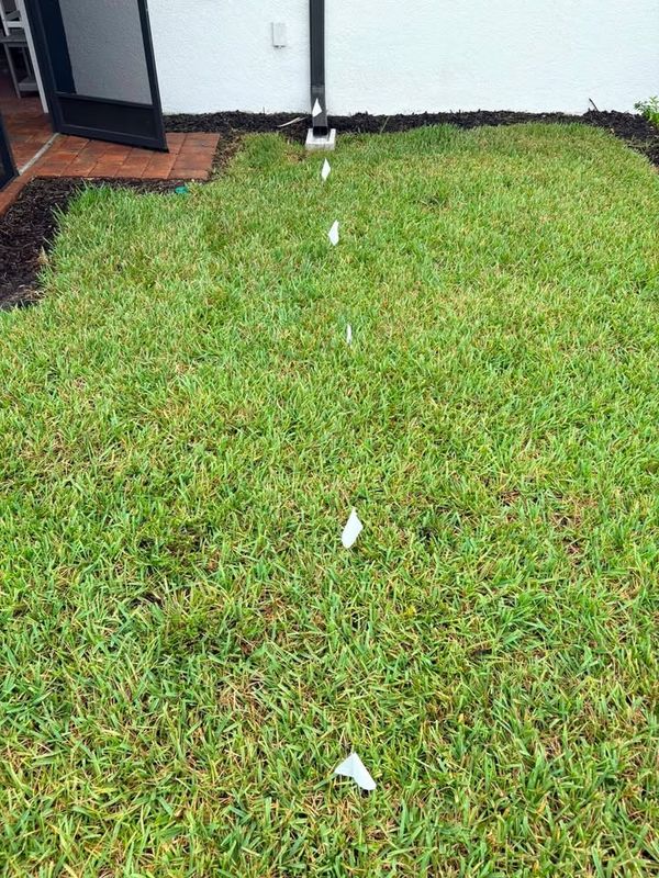 Pop-Up Drainage Emitters