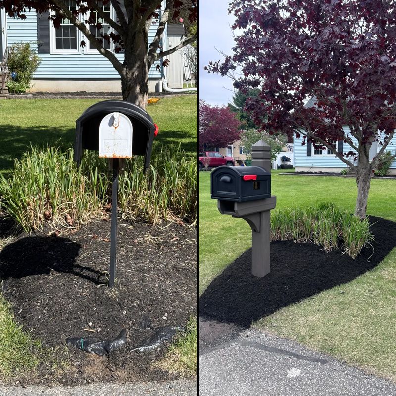 Landscape Design