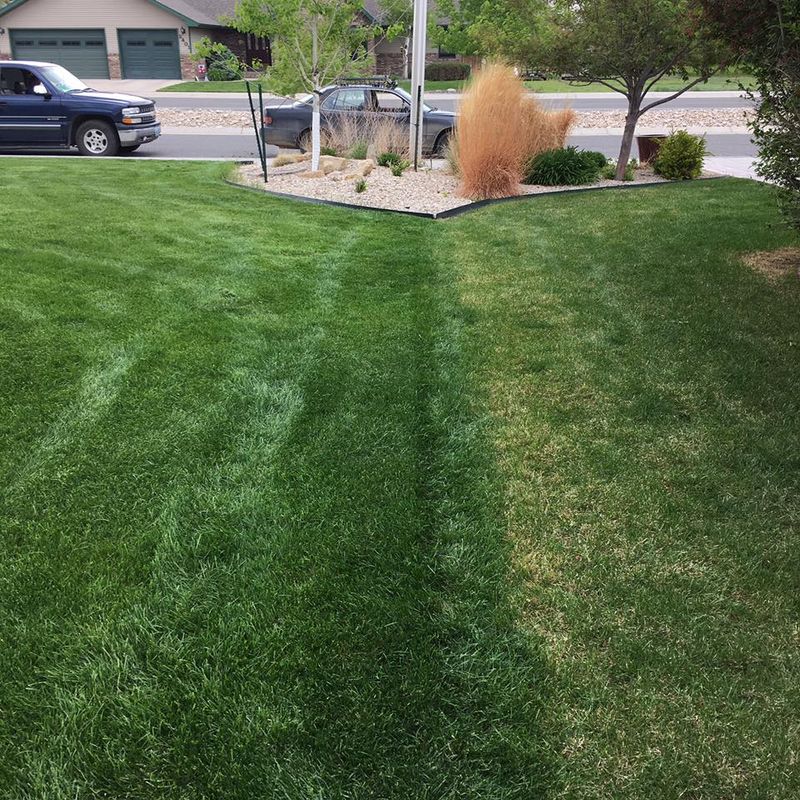 Lawn Aeration