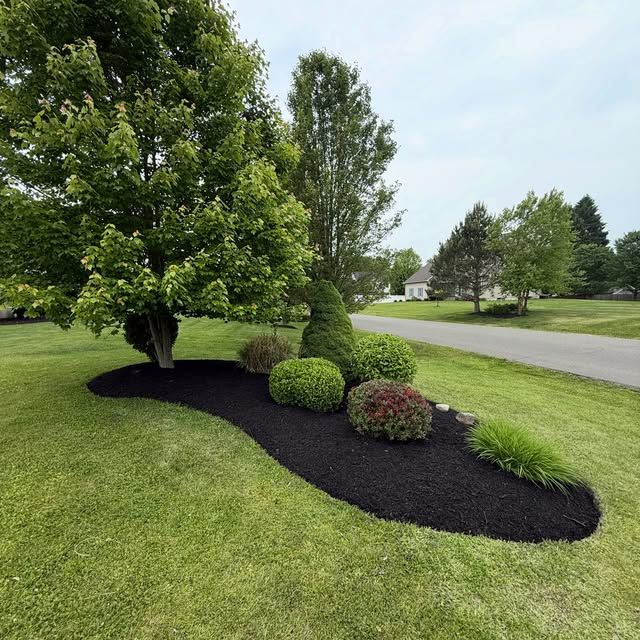 Landscaping