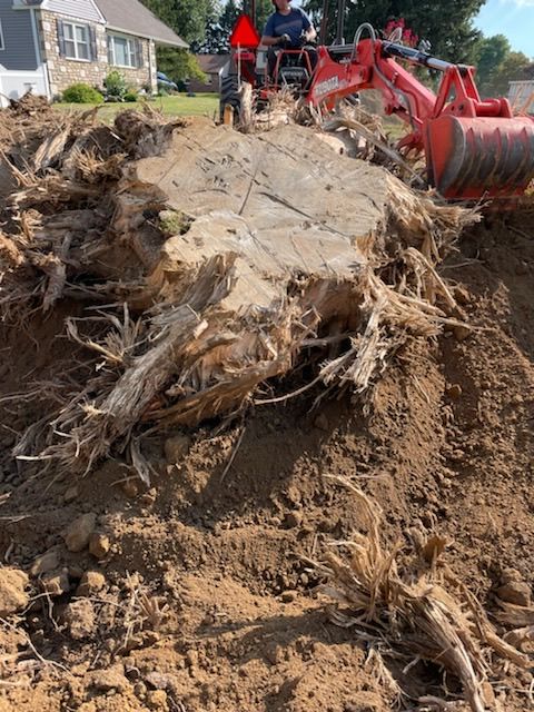 Stump Removal