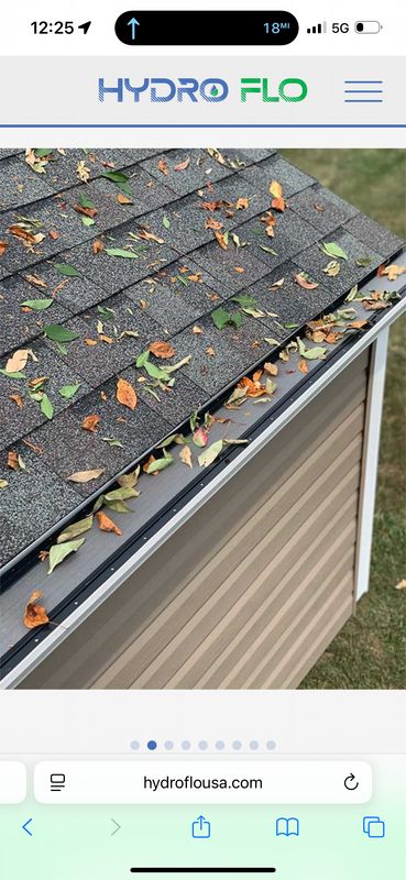 Gutter Cleaning