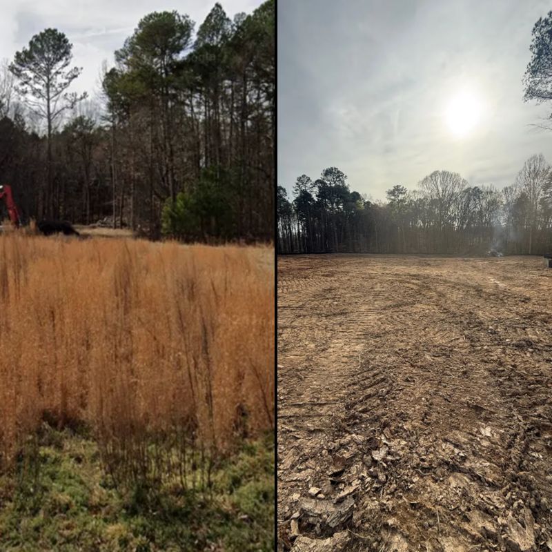 Land Clearing