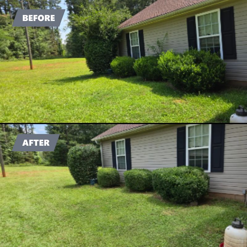 Shrub Trimming