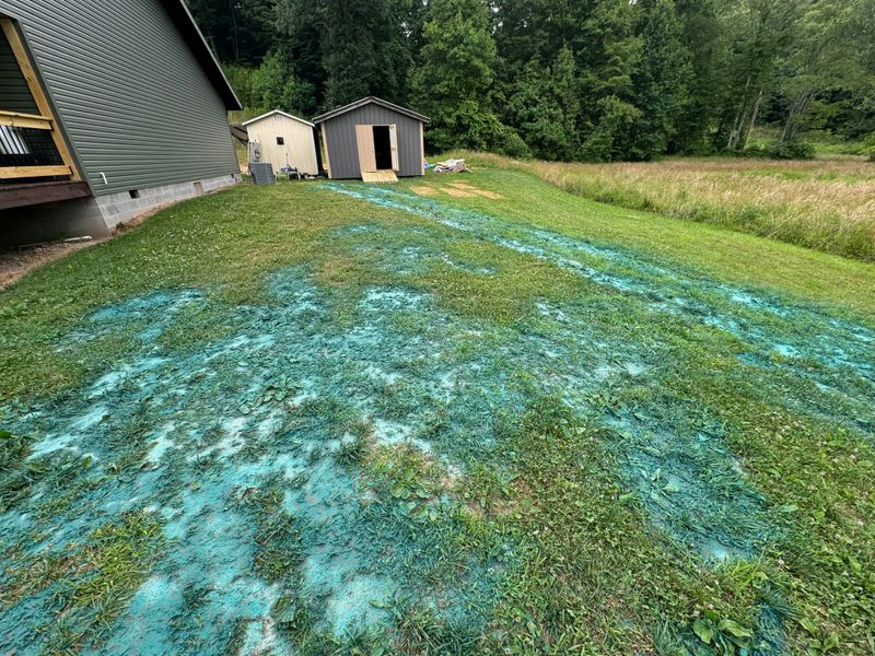 Hydroseeding 
