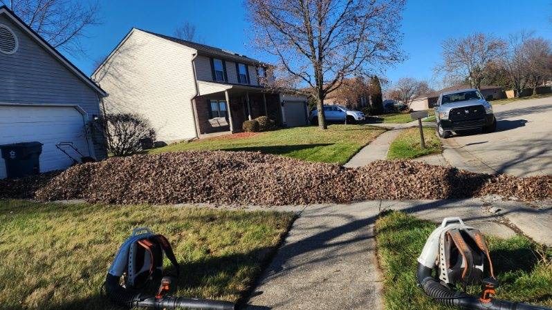 Fall clean up