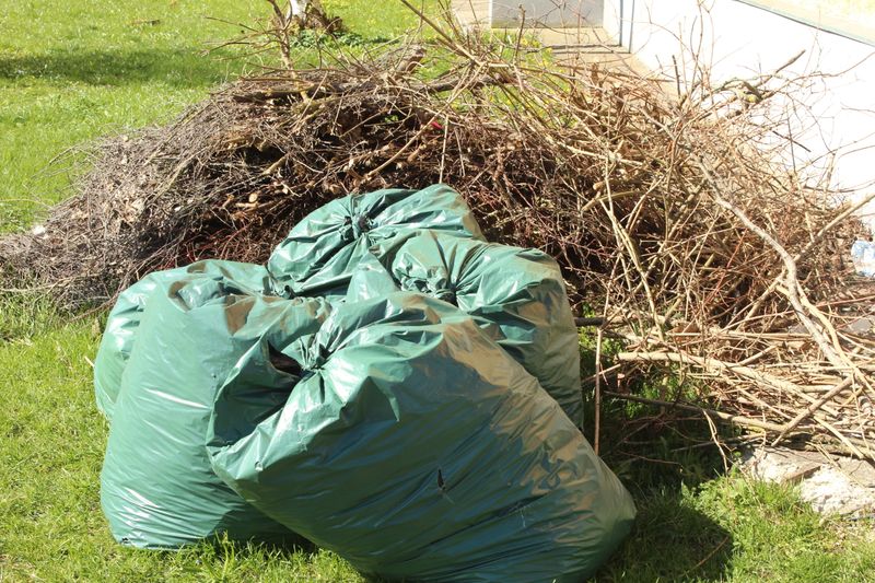 Yard Waste Removal 