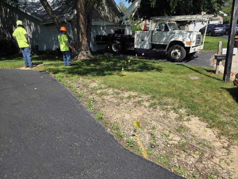 Tree Trimming