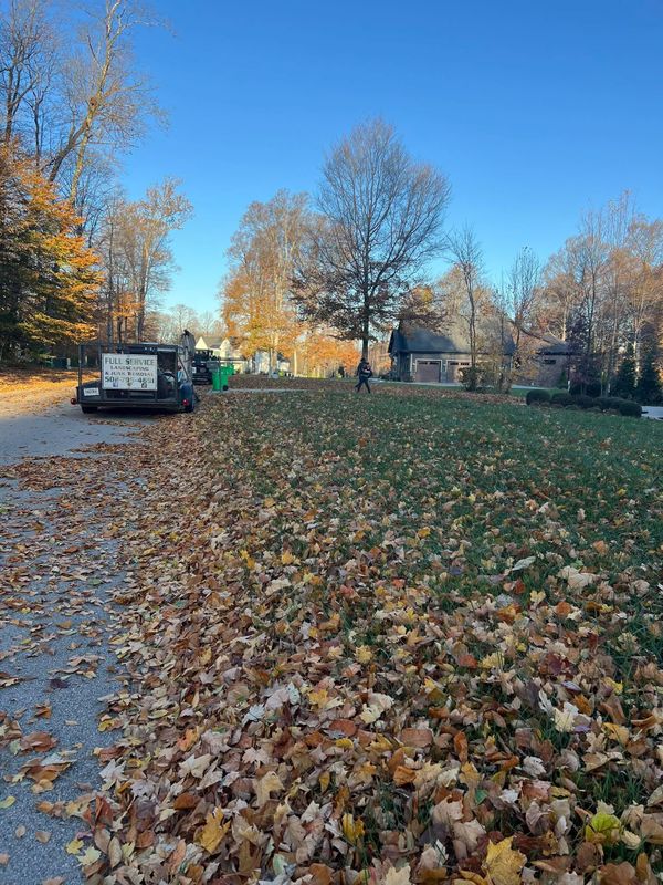 Fall Clean Up
