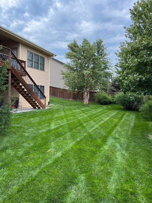 Lawn Maintenance