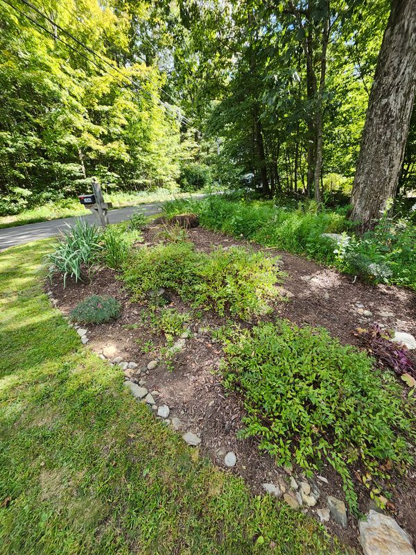 Muclhing & Weeding