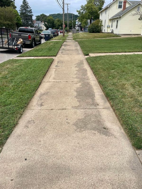Lawn Maintenance
