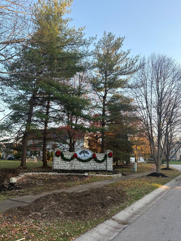 Fall Clean Up