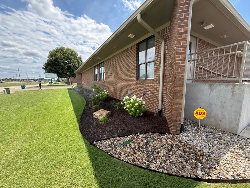 Plant & Shrub Installations