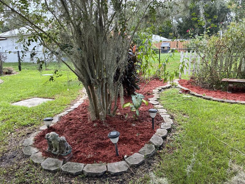 Lawn Care & Maintenance