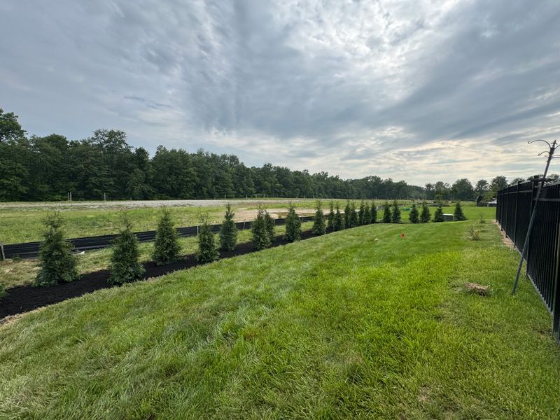 Hardscaping & Tree Installs 