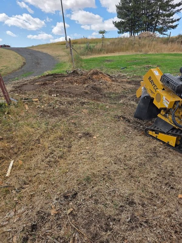 Stump Removal