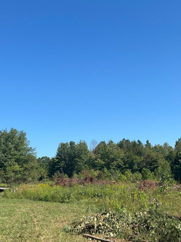 Brush cutting/clearing