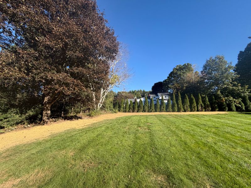 Tree & Shrub Care