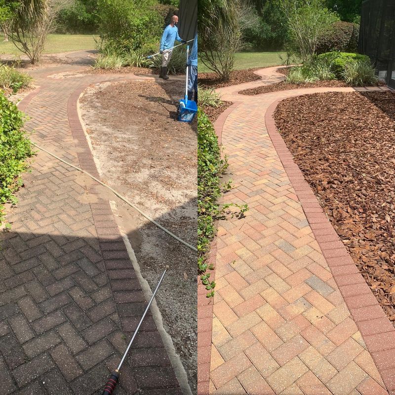 Landscape Cleanup