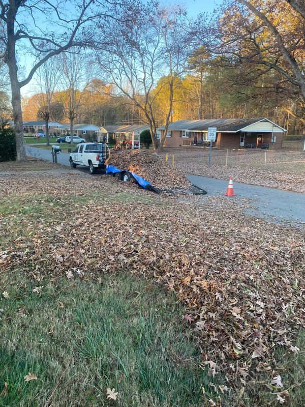 Leaf Clean Up