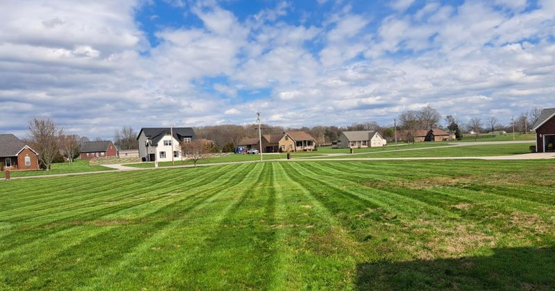 Lawn Care