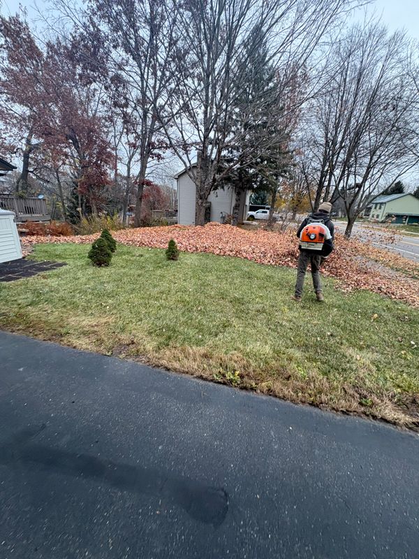 Seasonal Clean-Up Services
