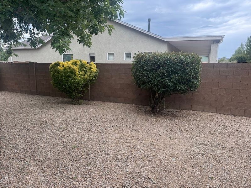 Tree and Shrub Care