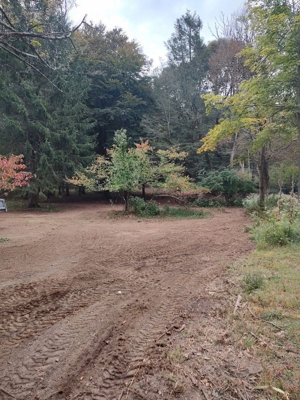 Land Clearing and Site Preparation
